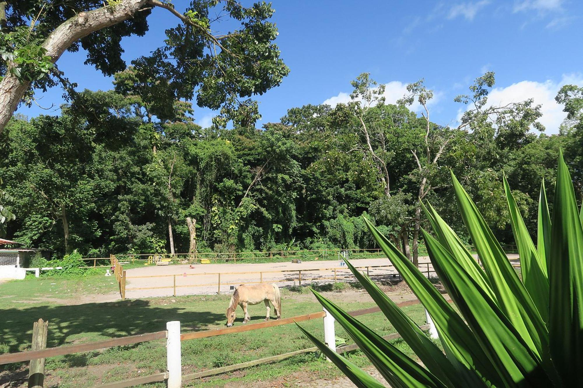 Ranch Black Horse Les Trois-Ilets Exterior foto
